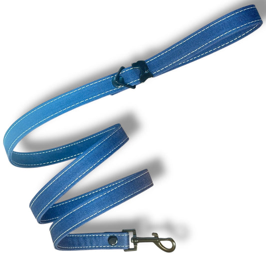 Handcrafted Dog Leashes – Waterproof Canvas & Leather - hundhaus.dog