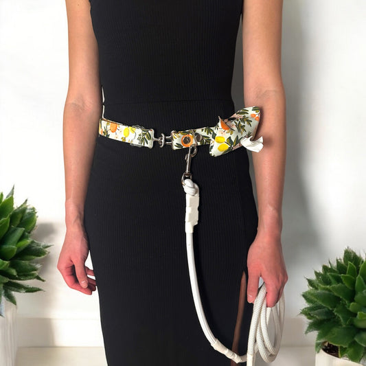 Hands - Free Dog Leash Belt with Rope & Waste Bag Holder - hundhaus.dog