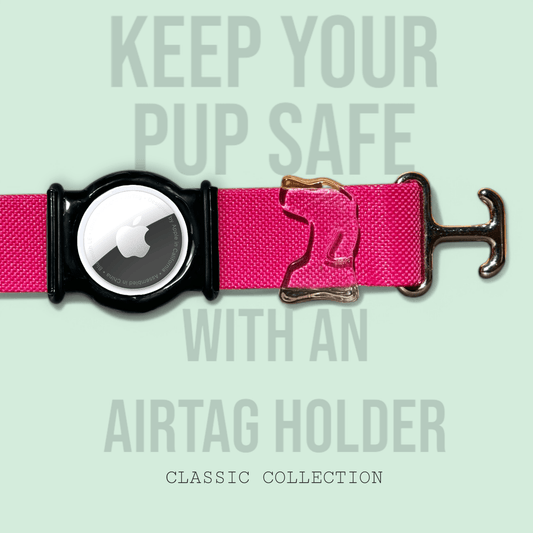 Hot Pink - Classic Collar - hundhaus.dog