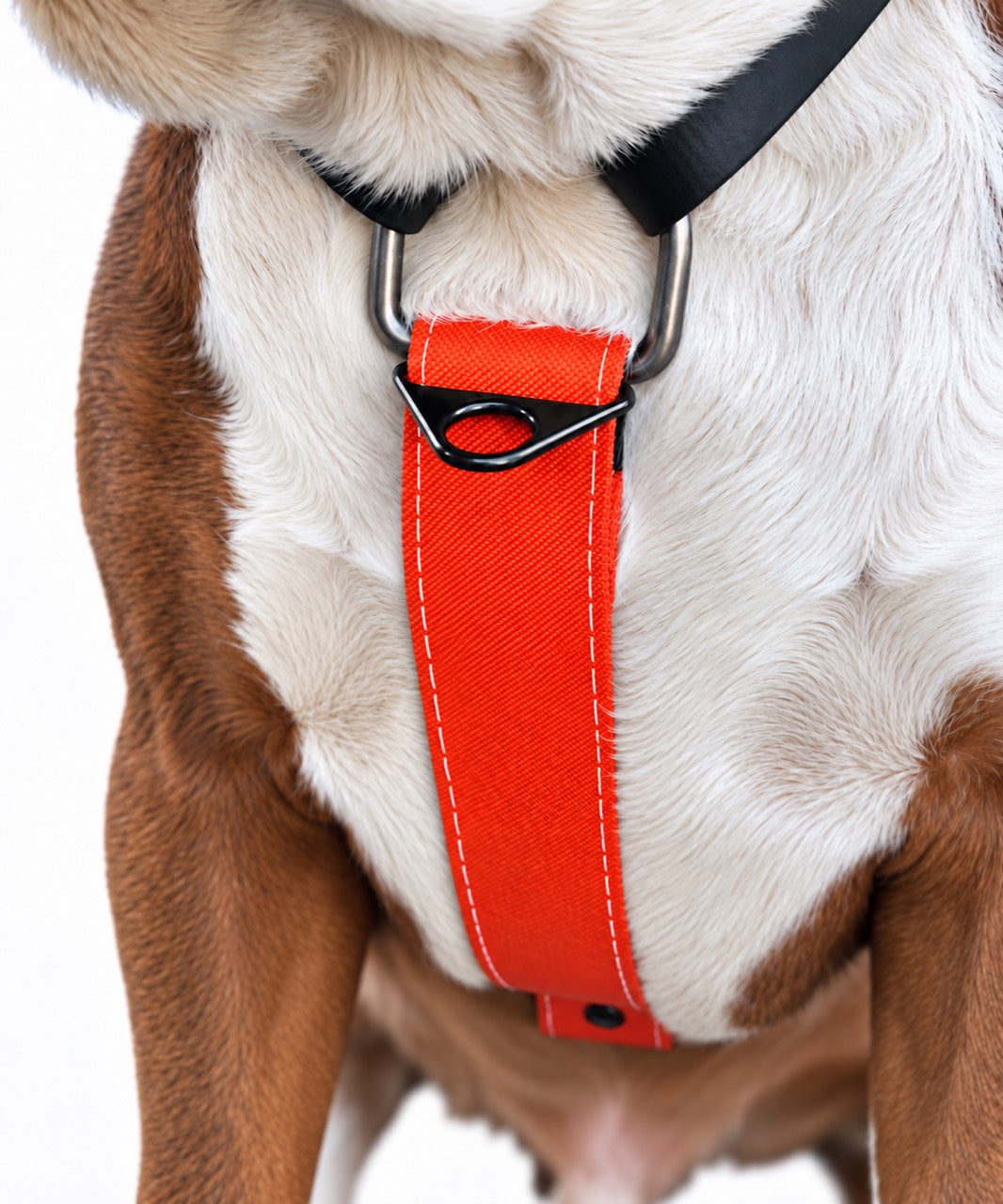 Close-up of the Summit dog harness chest panel and front chest leash attachment.