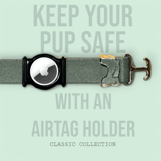 Hunter Green - Classic Collar - hundhaus.dog
