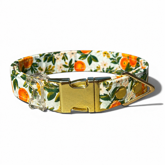 Classic Collar in Citrus Grove with Gold hardware - hundhaus.dog