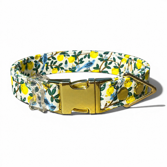 Classic Collar in Lemon Grove with Gold hardware - hundhaus.dog