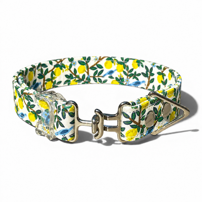 Classic Collar in Lemon Grove with Silver hardware - hundhaus.dog