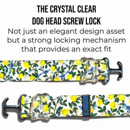 Classic Collar in Lemon Grove with Silver hardware - hundhaus.dog