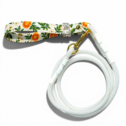 Classic Leash in Citrus Grove with gold hardware - hundhaus.dog
