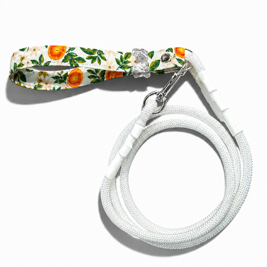 Classic Leash - Citrus Grove