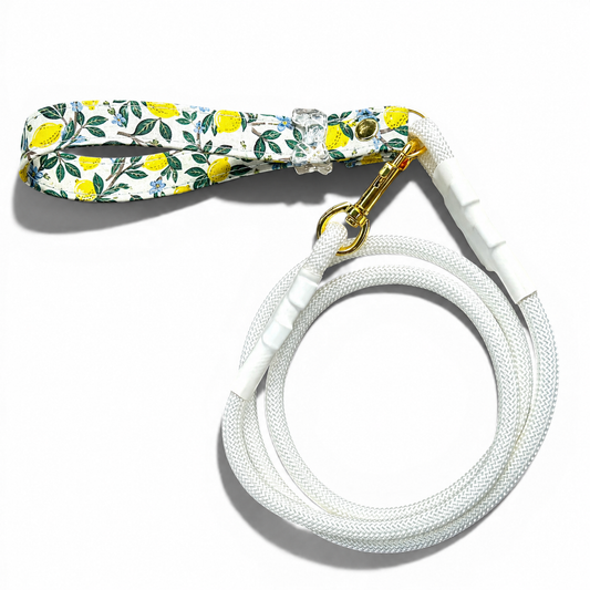 Classic Leash in Lemon Grove with gold hardware - hundhaus.dog