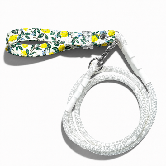Classic Leash - Lemon Grove