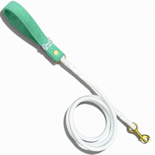 Luxe Collection Dog Leash in Mint - hundhaus.dog