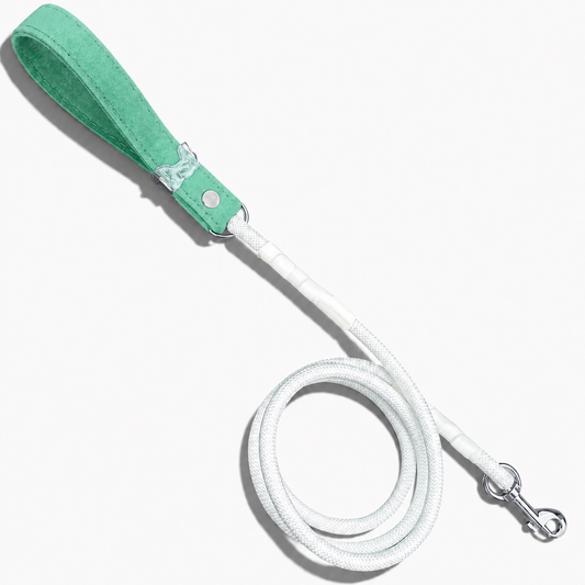Luxe Collection Dog Leash - Mint