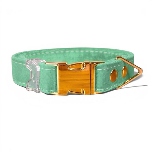 Luxe Velvet Dog Collar in Mint - hundhaus.dog