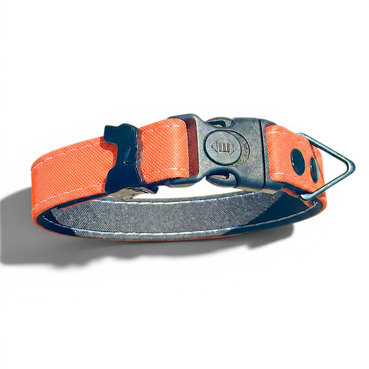 Rugged Waterproof Dog Collar in Coral - hundhaus.dog