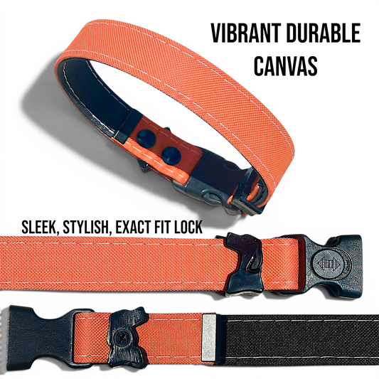 Rugged Waterproof Dog Collar in Coral - hundhaus.dog