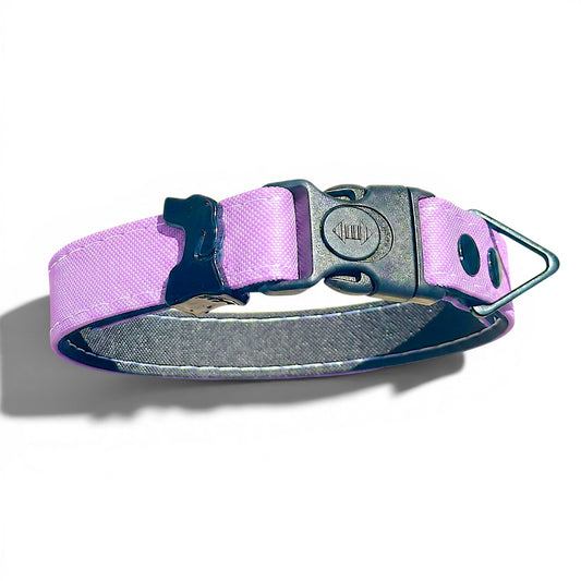 Rugged Waterproof Dog Collar in Lilac - hundhaus.dog