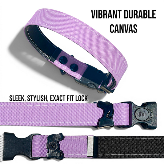 Rugged Waterproof Dog Collar in Lilac - hundhaus.dog