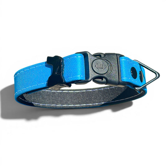 Rugged Waterproof Dog Collar in Turqouise - hundhaus.dog
