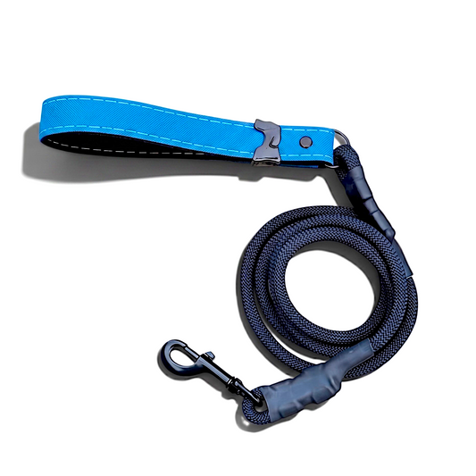Rugged Waterproof Dog Leash in Turqouise - hundhaus.dog