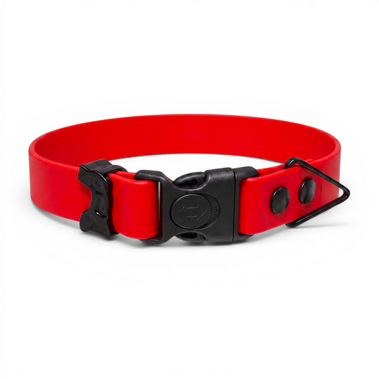 Sport Waterproof Dog Collar in Cherry - hundhaus.dog