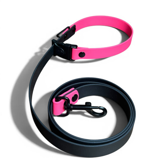 Sport Waterproof Dog Leash in Hot Pink - hundhaus.dog