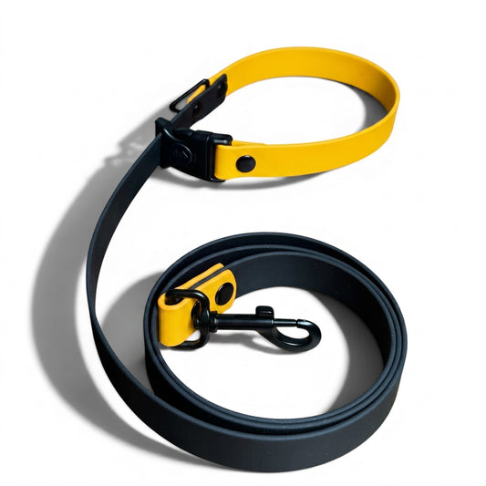 Sport Waterproof Dog Leash in Lemon - hundhaus.dog