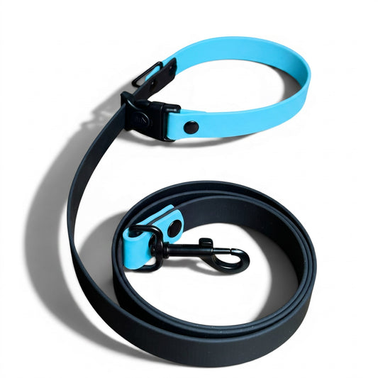 Sport Waterproof Dog Leash in Sky Blue - hundhaus.dog