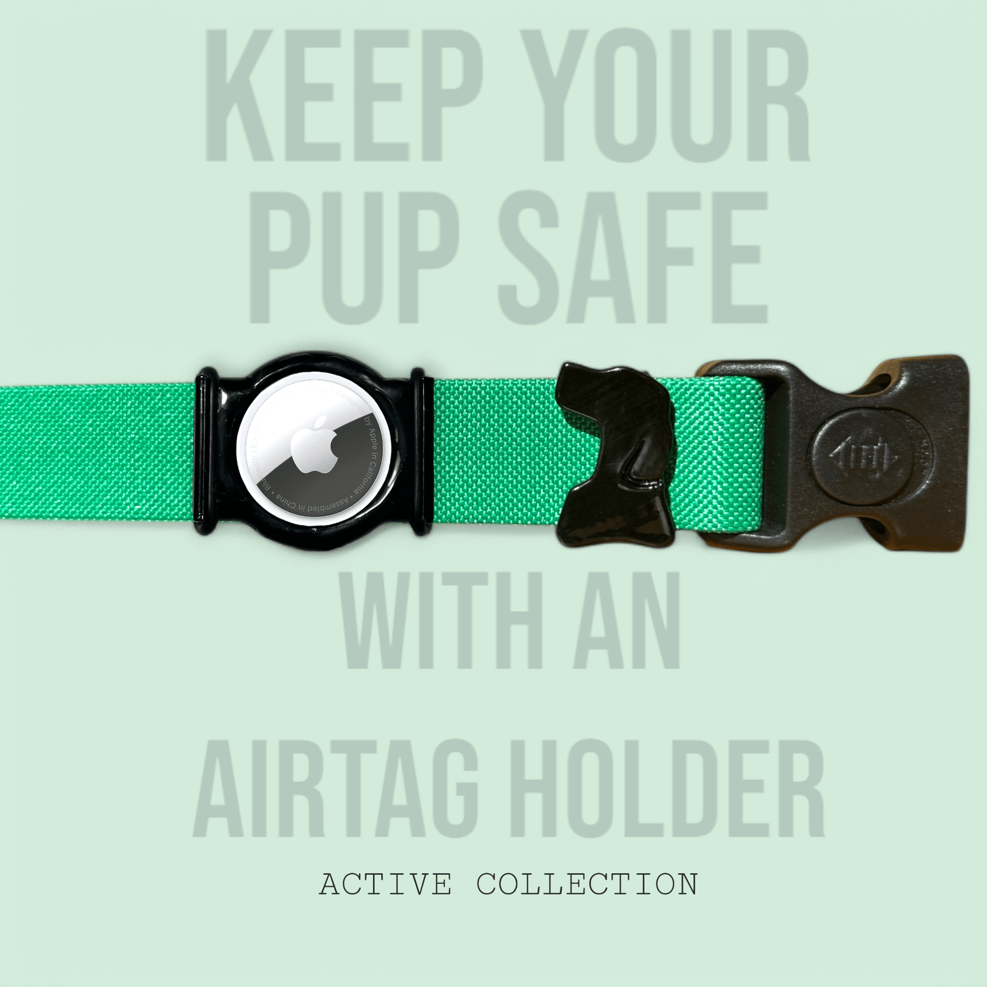 Kelly Green - Active Collar - hundhaus.dog