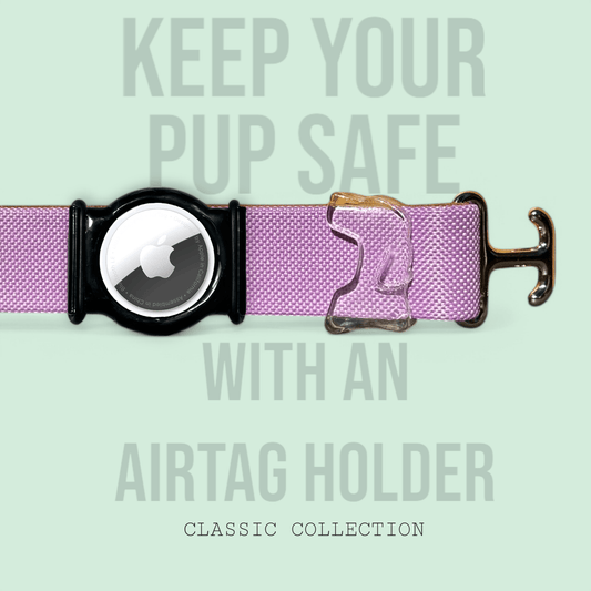 Lavender - Classic Collar - hundhaus.dog