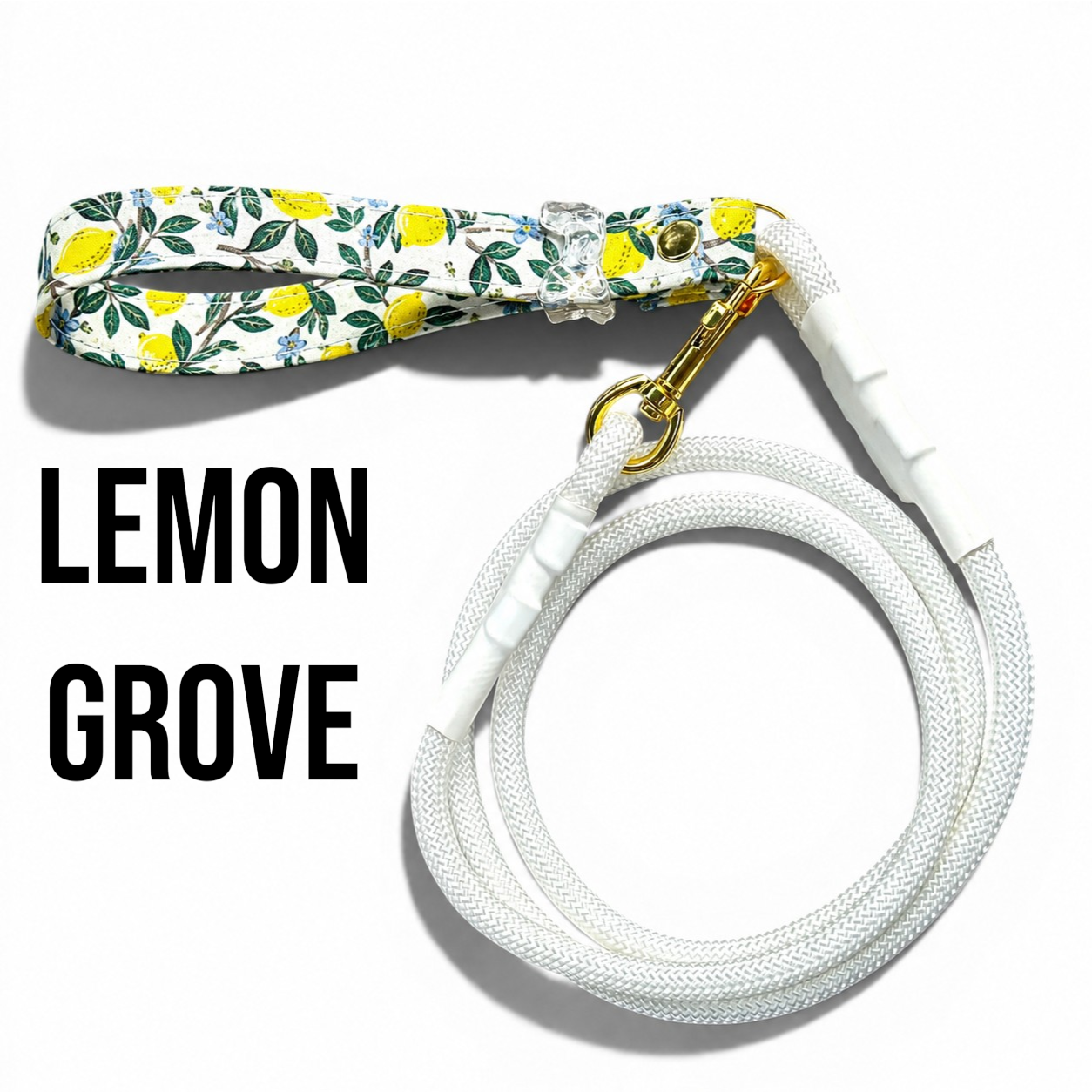 Classic Collection Dog Leashes
