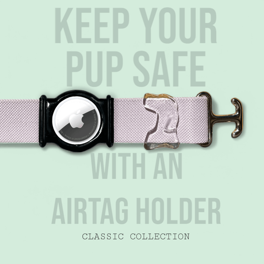 Lilac - Classic Collar - hundhaus.dog
