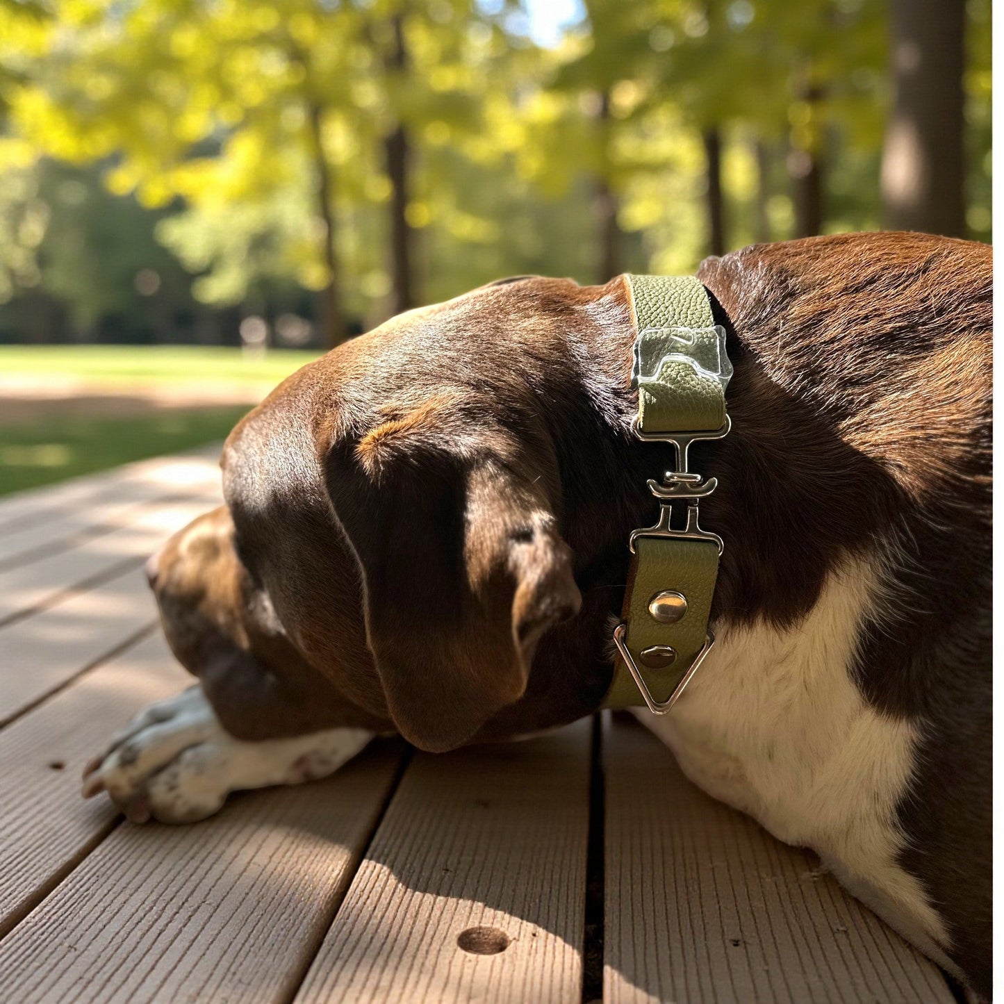 Luxe Collar Collection - hundhaus.dog