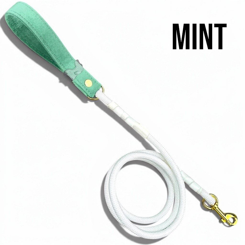 Luxe Collection Leash in Mint - hundhaus.dog