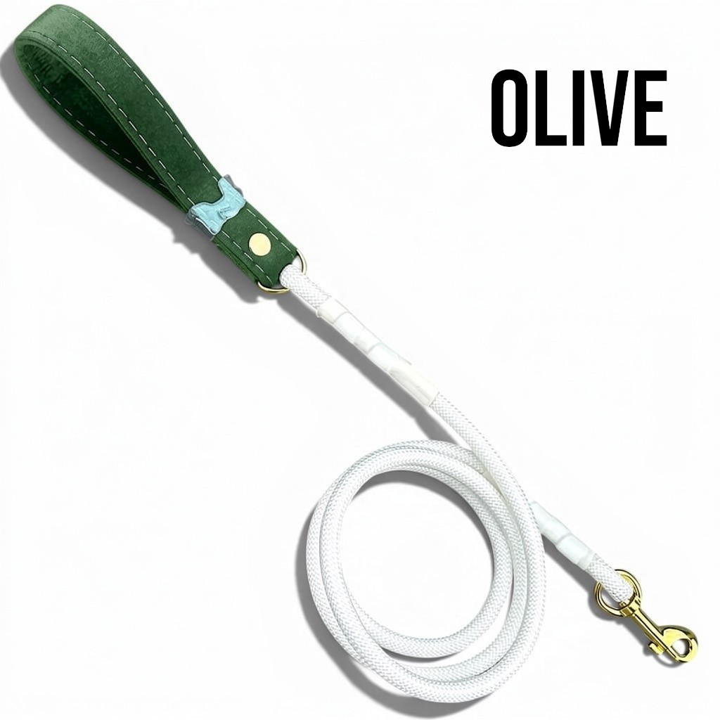 Luxe Collection Leash in Olive - hundhaus.dog