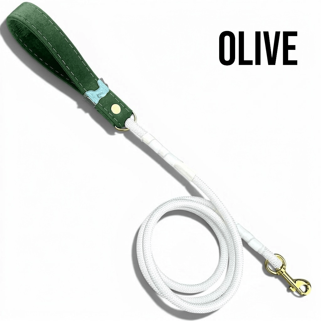Luxe Collection Leashes - hundhaus.dog
