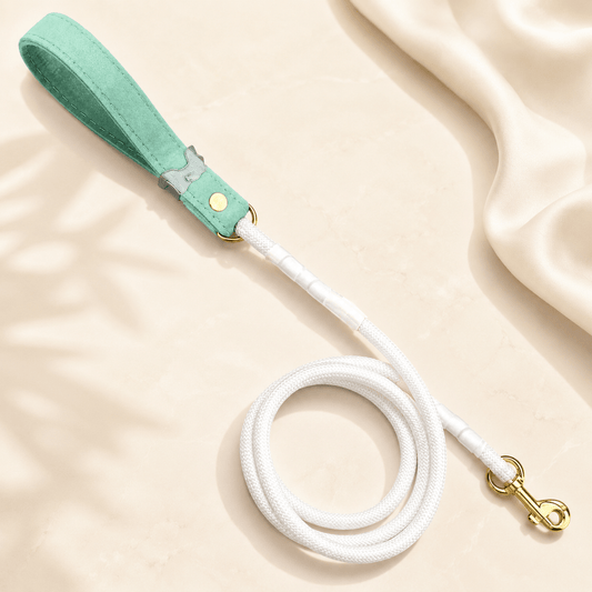 Luxe Collection Leashes - hundhaus.dog