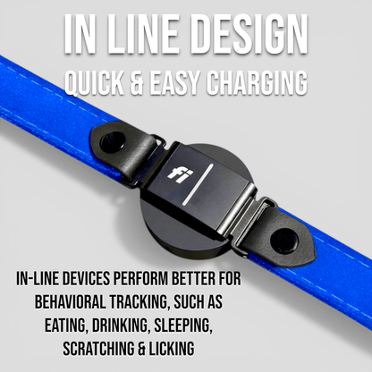 Luxe Velvet Fi - Compatible Dog Collar - hundhaus.dog