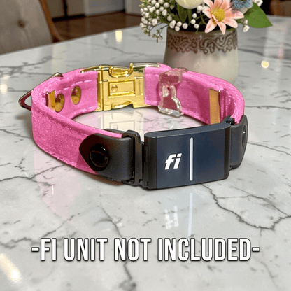 Luxe Velvet Fi - Compatible Dog Collar - hundhaus.dog