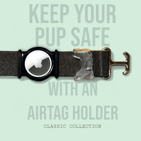 Midnight - Classic Collar - hundhaus.dog