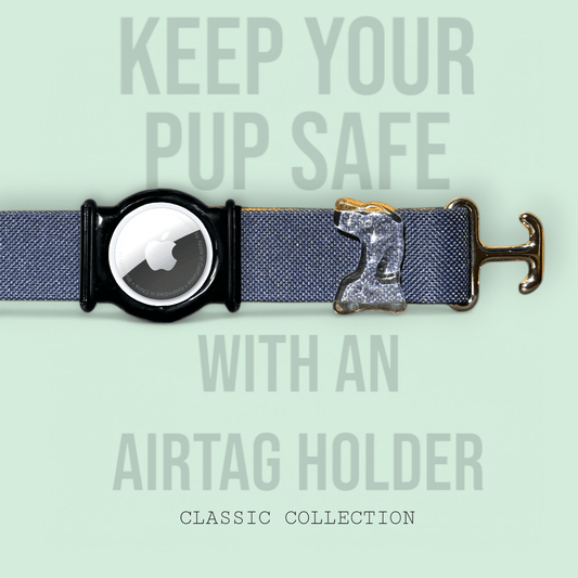 Navy - Classic Collar - hundhaus.dog