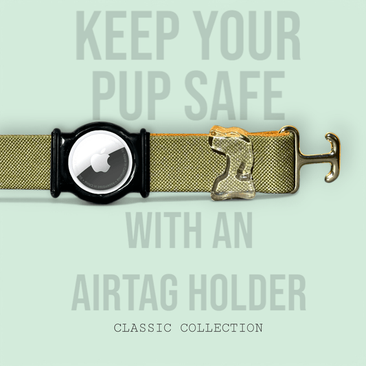 Olive - Classic Collar - hundhaus.dog