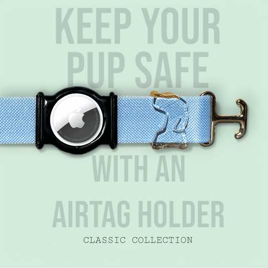 Periwinkle - Classic Collar - hundhaus.dog