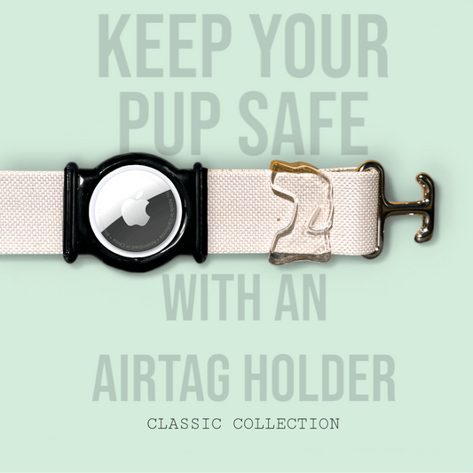 Powder Pink - Classic Collar - hundhaus.dog