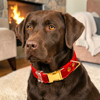 Premium soft velvet collars - Classic edition - hundhaus.dog