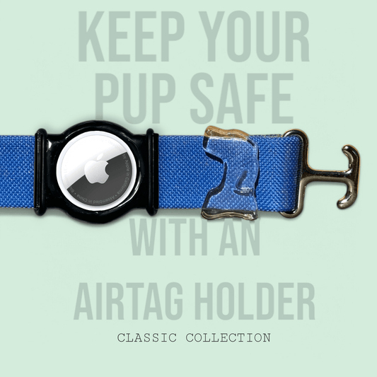 Royal Blue - Classic Collar - hundhaus.dog