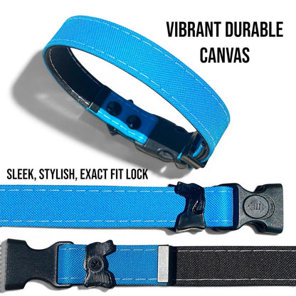 Blue Rugged AirTag dog collar with vibrant canvas and exact-fit lock