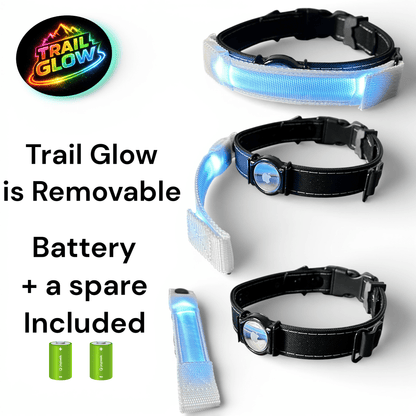 Rugged AirTag trackable dog collar - hundhaus.dog