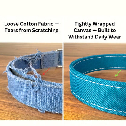 Rugged AirTag trackable dog collar - hundhaus.dog