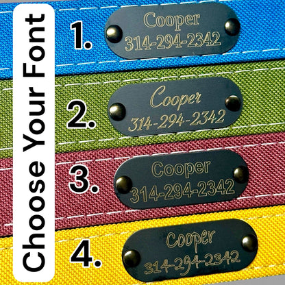 Rugged AirTag trackable dog collar - hundhaus.dog