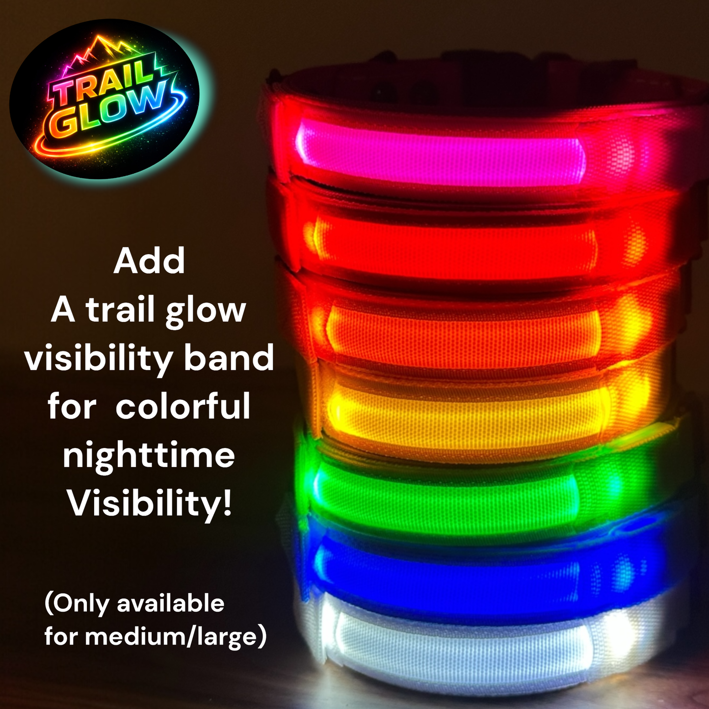 Rugged AirTag trackable dog collar - hundhaus.dog