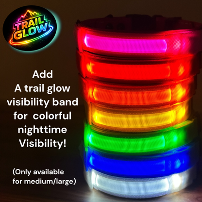 Rugged AirTag trackable dog collar - hundhaus.dog